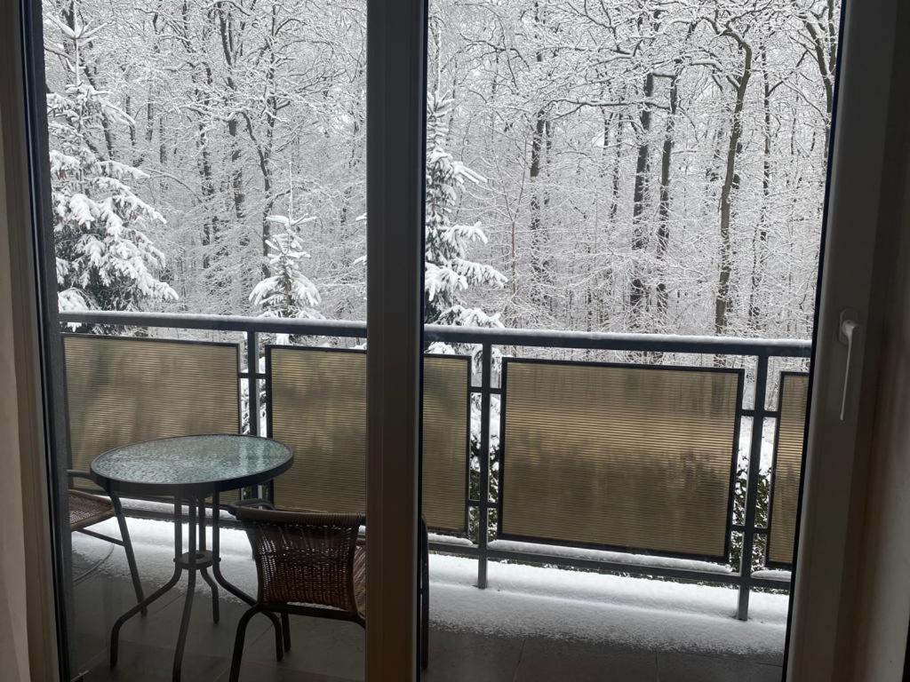 Apartament Natalia Żywiec Eksteriør billede