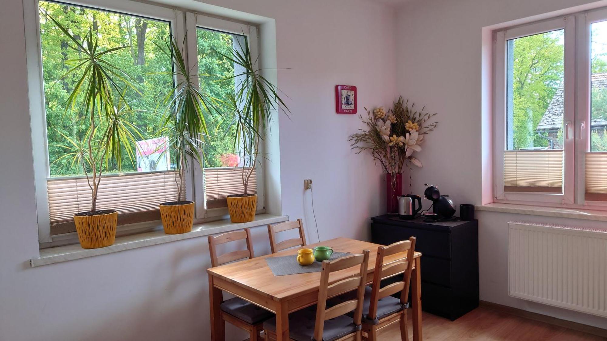 Apartament Natalia Żywiec Eksteriør billede